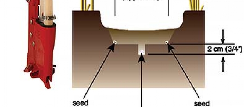 socs_04 socs_04